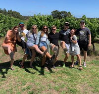 The Cheers Glass Half Full Tour in Margaret River - Accommodation Nelson Bay
