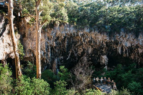 Lake Cave Fully Guided Tour - Accommodation Nelson Bay 1