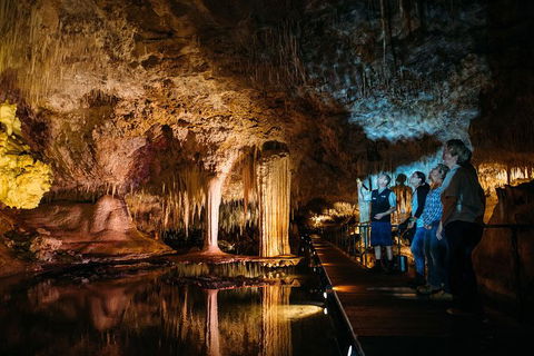Lake Cave Fully Guided Tour - Accommodation Nelson Bay 0