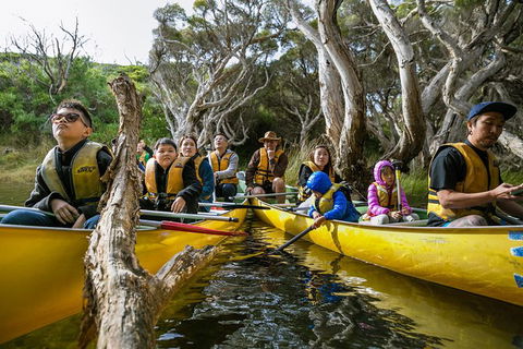 Margaret River Canoe Tour Including Lunch - Accommodation Nelson Bay 0