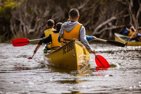 Margaret River Canoe Tour Including Lunch - Accommodation Nelson Bay 15