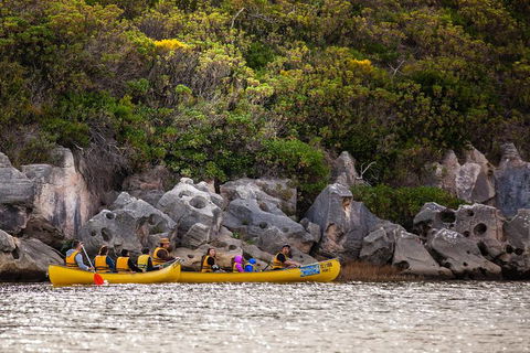 Margaret River Canoe Tour Including Lunch - Accommodation Nelson Bay 9
