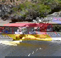 Kalgan Queen Scenic Cruises a four hour sheltered water wildlife tour daily fun. - Accommodation Nelson Bay