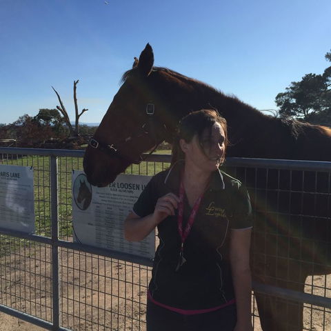 Champion Racehorse Tour With Beer And Wine Tasting - Accommodation Nelson Bay 4