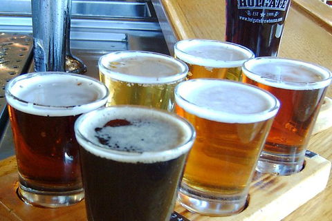 Champion Racehorse Tour With Beer And Wine Tasting - Accommodation Nelson Bay 1