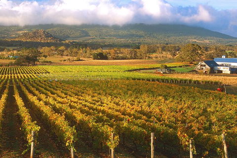 Champion Racehorse Tour With Beer And Wine Tasting - Accommodation Nelson Bay 6