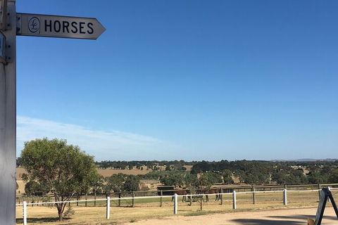 Champion Racehorse Tour With Beer And Wine Tasting - Accommodation Nelson Bay 7