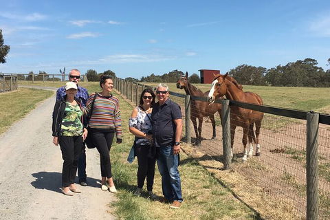 Champion Racehorse Tour With Beer And Wine Tasting - Accommodation Nelson Bay 10