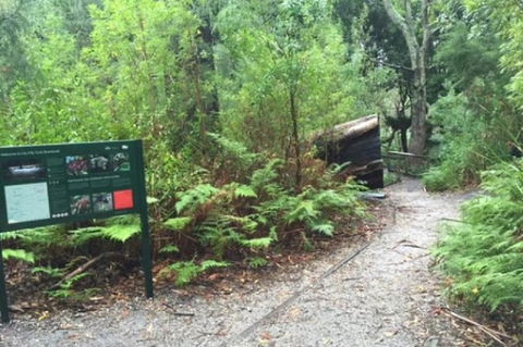 Wilsons Promontory Walking And Sightseeing Tour From Phillip Island - Accommodation Nelson Bay 1