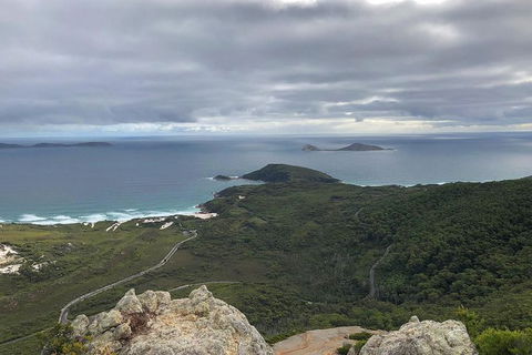 Wilsons Promontory Walking And Sightseeing Tour From Phillip Island - Accommodation Nelson Bay 7