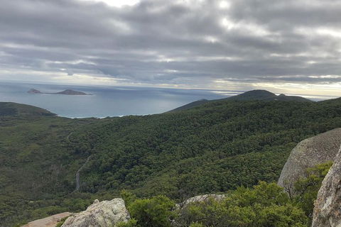 Wilsons Promontory Walking And Sightseeing Tour From Phillip Island - Accommodation Nelson Bay 5