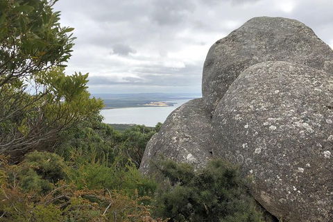 Wilsons Promontory Walking And Sightseeing Tour From Phillip Island - Accommodation Nelson Bay 15
