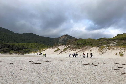 Wilsons Promontory Walking And Sightseeing Tour From Phillip Island - Accommodation Nelson Bay 4