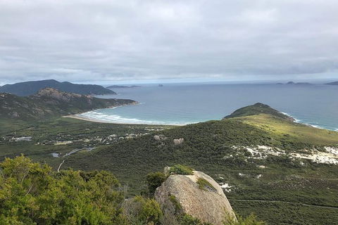 Wilsons Promontory Walking And Sightseeing Tour From Phillip Island - Accommodation Nelson Bay 12