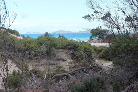 Wilsons Promontory Walking And Sightseeing Tour From Phillip Island - Accommodation Nelson Bay 14
