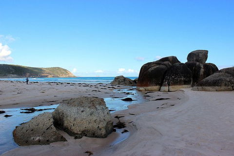 Wilsons Promontory Walking And Sightseeing Tour From Phillip Island - Accommodation Nelson Bay 10