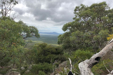 Wilsons Promontory Walking And Sightseeing Tour From Phillip Island - Accommodation Nelson Bay 13