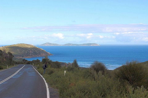Wilsons Promontory Walking And Sightseeing Tour From Phillip Island - Accommodation Nelson Bay 2