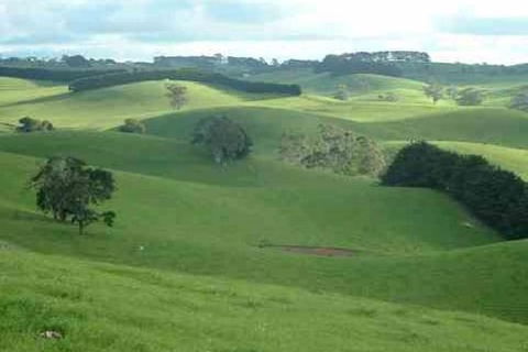 Day Tour Of Phillip Island & Surrounding Region - Accommodation Nelson Bay 0