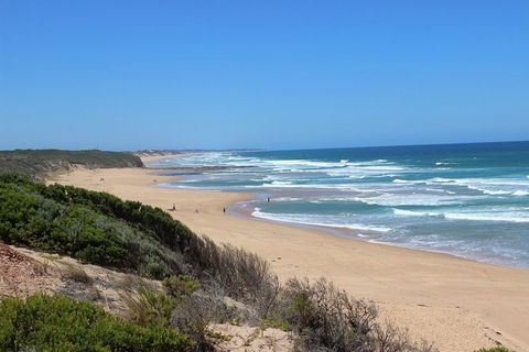 Day Tour Of Phillip Island & Surrounding Region - Accommodation Nelson Bay 1