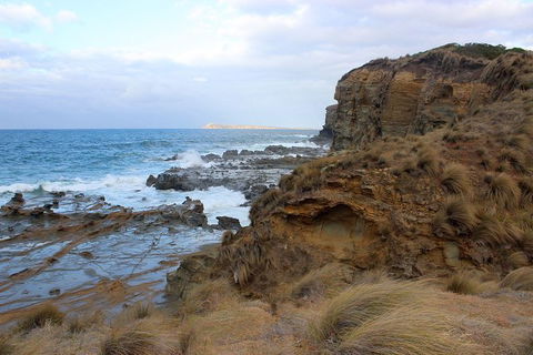 Day Tour Of Phillip Island & Surrounding Region - Accommodation Nelson Bay 11