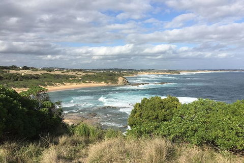 Day Tour Of Phillip Island & Surrounding Region - Accommodation Nelson Bay 10