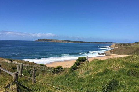 Day Tour Of Phillip Island & Surrounding Region - Accommodation Nelson Bay 5