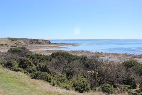 Day Tour Of Phillip Island & Surrounding Region - Accommodation Nelson Bay 2