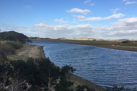 Phillip Island Walking & Bird Watching Tour - Accommodation Nelson Bay 7