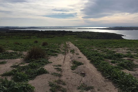 Phillip Island Walking & Bird Watching Tour - Accommodation Nelson Bay 4