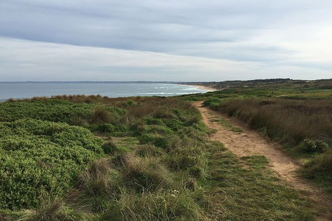 Phillip Island Walking & Bird Watching Tour - Accommodation Nelson Bay 5