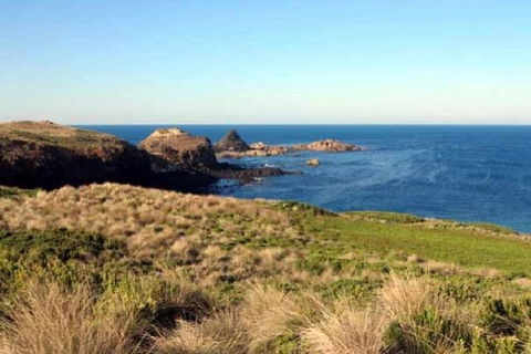 Phillip Island Walking & Bird Watching Tour - Accommodation Nelson Bay 9