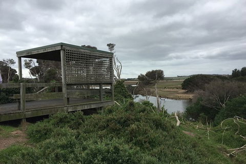 Phillip Island Walking & Bird Watching Tour - Accommodation Nelson Bay 2