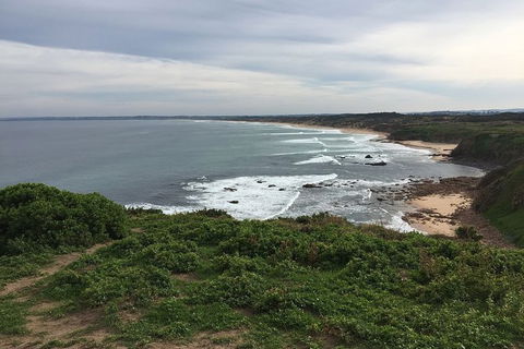 Phillip Island Walking & Bird Watching Tour - Accommodation Nelson Bay 1