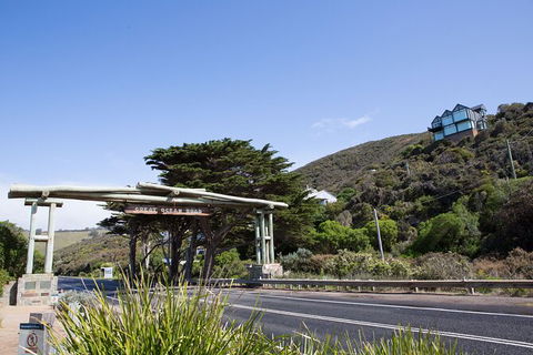 Private Great Ocean Road - The Ultimate Aussie Adventure - Accommodation Nelson Bay 5