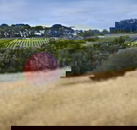 Estate to Plate Montalto Vineyard Gourmet Lunch and Wine-Tasting Tour - Accommodation Nelson Bay