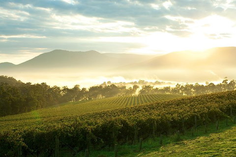 Yarra Valley Private Tour Including Healesville Sanctuary And Wineries - Accommodation Nelson Bay 0