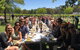 Yarra Valley Winery Tour - thumb 1