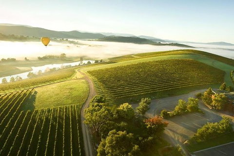 Yarra Valley Wine Tour With Local Harvest Tastings From Melbourne - Accommodation Nelson Bay 7