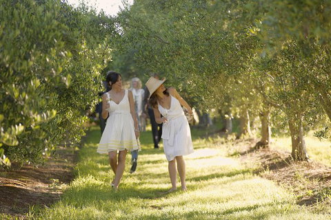 Yarra Valley Wine Tour With Local Harvest Tastings From Melbourne - Accommodation Nelson Bay 8
