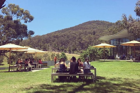 CHEVY CONVERTIBLE Package For 2 People- Wine Lunch Cheese & Chocolate From Melb. - Accommodation Nelson Bay 6