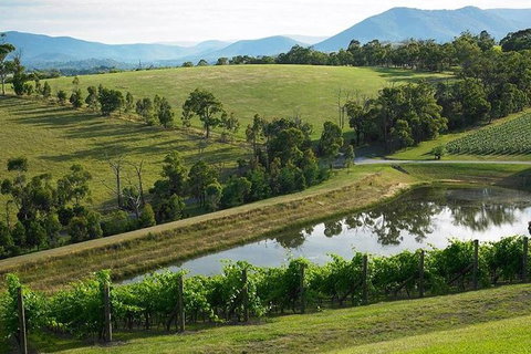 CHEVY CONVERTIBLE Package For 2 People- Wine Lunch Cheese & Chocolate From Melb. - Accommodation Nelson Bay 9