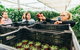 Yarra Valley Local Produce And Wine Tasting Tour - thumb 9