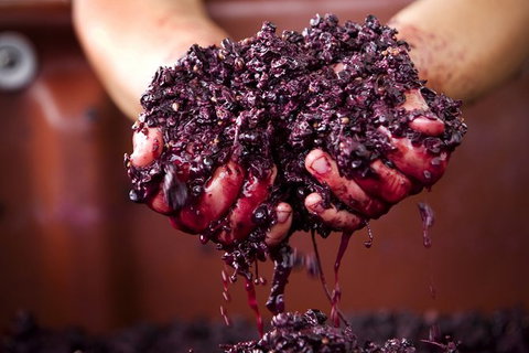 Yarra Valley Local Produce And Wine Tasting Tour - Accommodation Nelson Bay 7