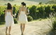 Yarra Valley Local Produce And Wine Tasting Tour - thumb 10