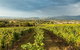 Yarra Valley Local Produce And Wine Tasting Tour - thumb 4