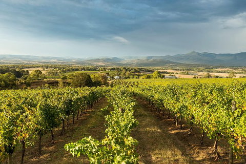 Yarra Valley Local Produce And Wine Tasting Tour - Accommodation Nelson Bay 4