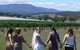 Yarra Valley Small-Group Wine Tour With 2 Course Lunch And Morning Tea - thumb 6