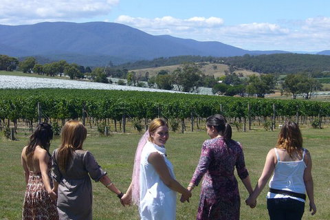 Yarra Valley Small-Group Wine Tour With 2 Course Lunch And Morning Tea - Accommodation Nelson Bay 6