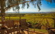 Yarra Valley Small-Group Wine Tour With 2 Course Lunch And Morning Tea - thumb 2